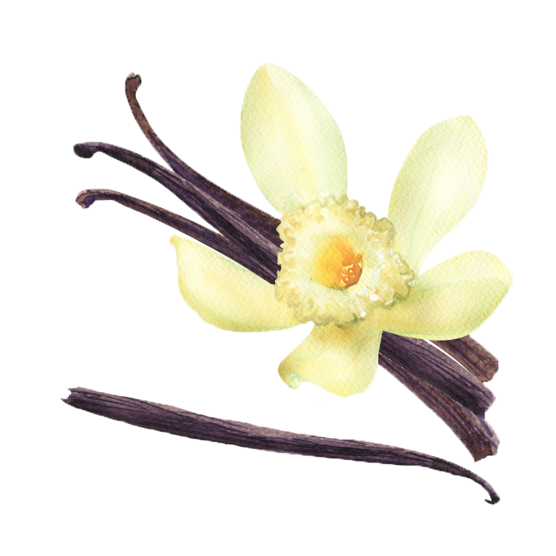 Vanilla Beans
